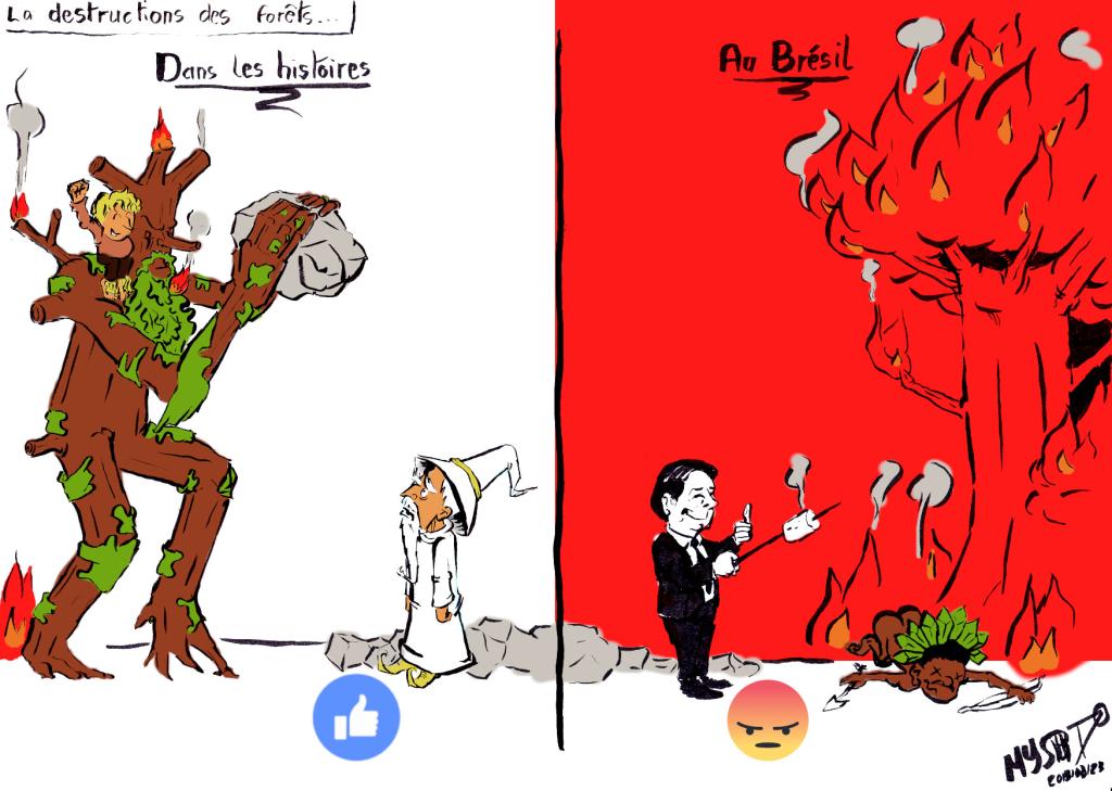 News drawing by Myster Ty: destruction of forests.
- left: In the accounts, the Ents rebel with the inhabitants of the forest and defeat the evil wizard
- right: In reality, Bolsonaro is having a good laugh and cooking his marshmallows above the burning forests and the bodies of its inhabitants.