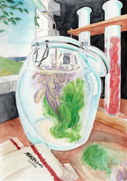 Watercolor painting by Myster Ty: Underwater Love. In an old workshop, life forms made of liquid inks are found in test tubes. In the foreground, a pipette pours one of them, purple, into a jar already occupied by another, green.