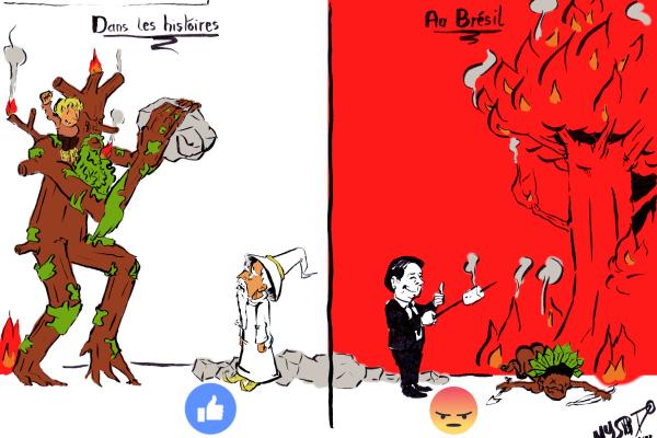 News drawing by Myster Ty: destruction of forests.
- left: In the accounts, the Ents rebel with the inhabitants of the forest and defeat the evil wizard
- right: In reality, Bolsonaro is having a good laugh and cooking his marshmallows above the burning forests and the bodies of its inhabitants.